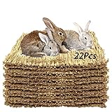 Tfwadmx 22 Pcs Seagrass Pet Bed Mat for Rabbit, 11 x 8.3 in
