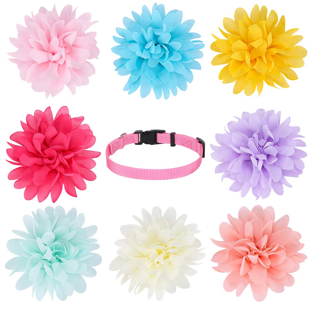 8 Blumen-Accessoires Für Halsbänder – Bunte Blüten Mit Gummiband, Für Hunde & Katzen
