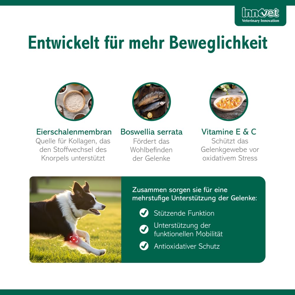 Condrostress Mobility Soft Chews für Gelenkunterstützung bei Hunden, 90 St. | Für Knorpelstoffwechsel & Beweglichkeit, Mit Eierschalenmembran, Boswellia Serrata & Vitamin C + E, Erwachsene & Senior Hunde