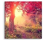 Zoom IMG-1 bestforhome gmbh wtd tela montata Zoom IMG-1 bestforhome gmbh wtd tela montata