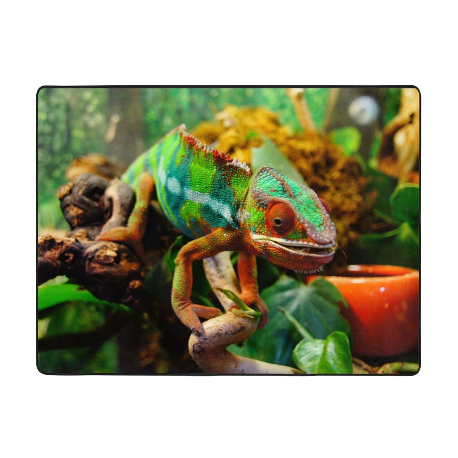 Tapis caméléon PEIXEN en flanelle 120x160 cm pour décoration de chambre et salon moderne