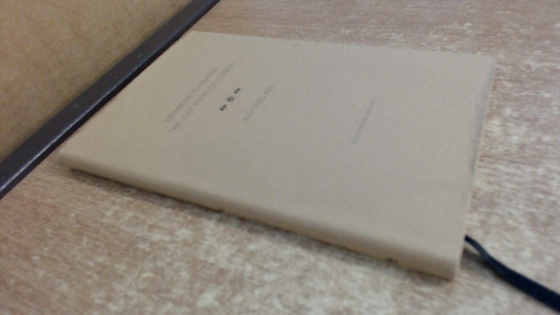 Iain Sinclair Swimming to Heaven: the Lost Rivers of London Hardback Book White