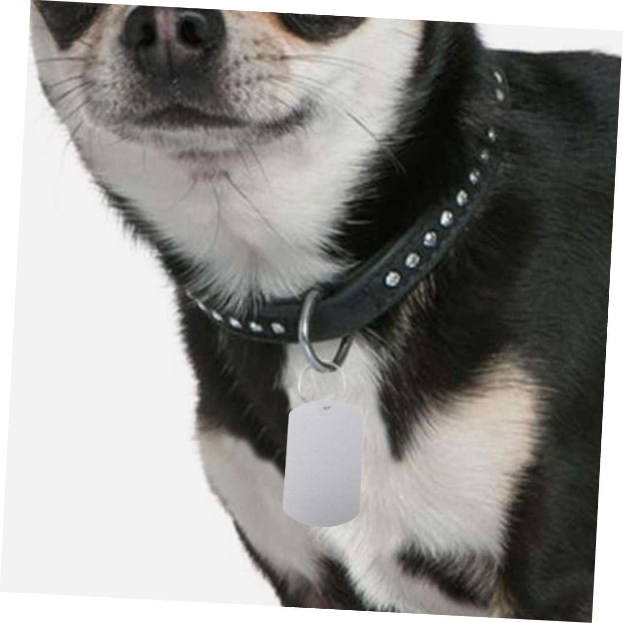 Sosoport 5 Ensembles Étiquette De Taureau en Métal Chiot Étiquette D'identification De Chien Dog Tag Étiquette d'oreille De Bétail Étiquette De Chien Personnalisée Aluminium 25 Pièces * 5
