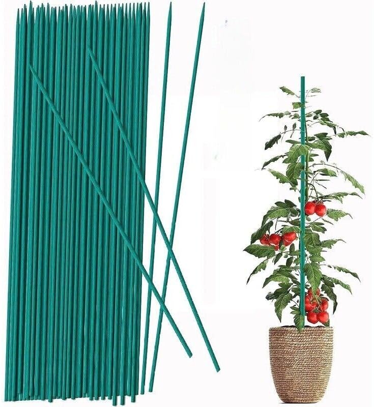 Eyesome Green Plant Support Sticks – 50 pack 60cm Bamboo Stakes - Weather Resistant Canes For Flowers - 24 Inch Wooden Canes for Home or Garden - Great for Making Gardening Tripods
