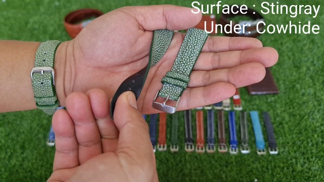 Amazon.co.jp: [vinacreations] 18mm グリーン エイ皮時計ベルト