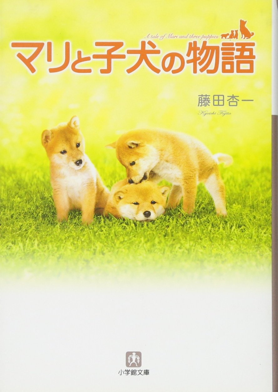 マリと子犬の物語 小学館文庫 藤田 杏一 本 通販 Amazon マリと子犬の物語 小学館文庫 藤田 杏一 本 通販 Amazon