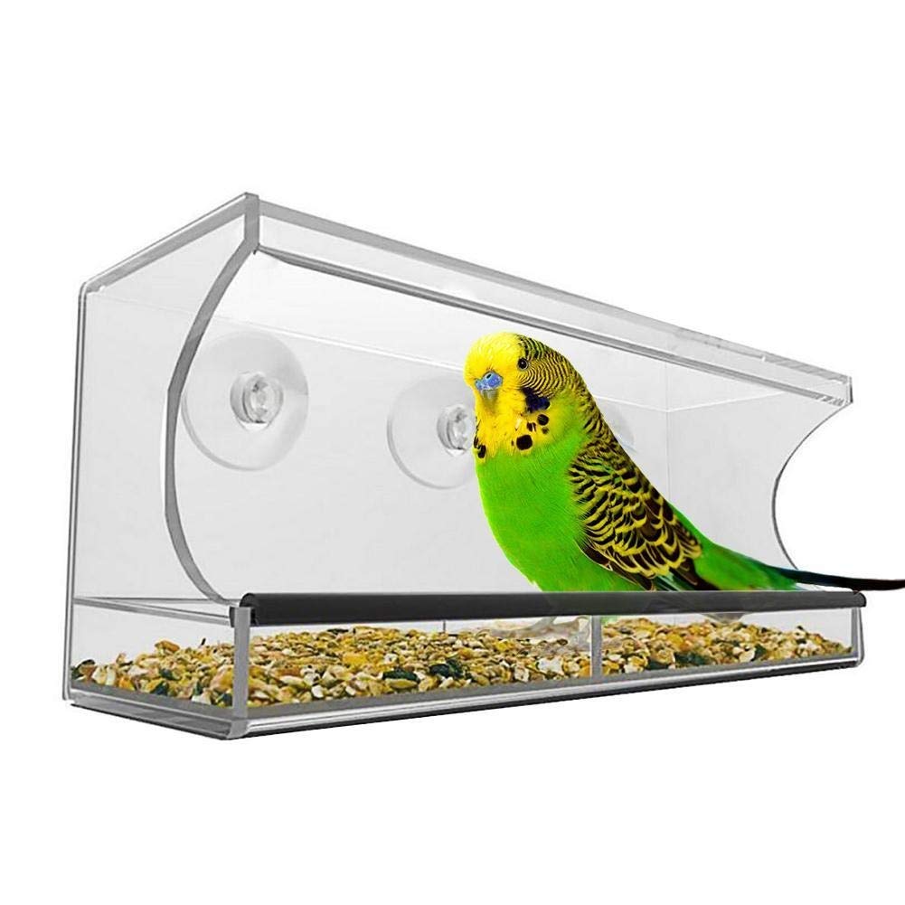 Vogelhäuschen Neue Ankunft Große Größe Outdoor Automatische Vogel Wasser Lebensmittel Feeder Kreative Haustier Vogel Food Box Vogelfütter Futterhaus