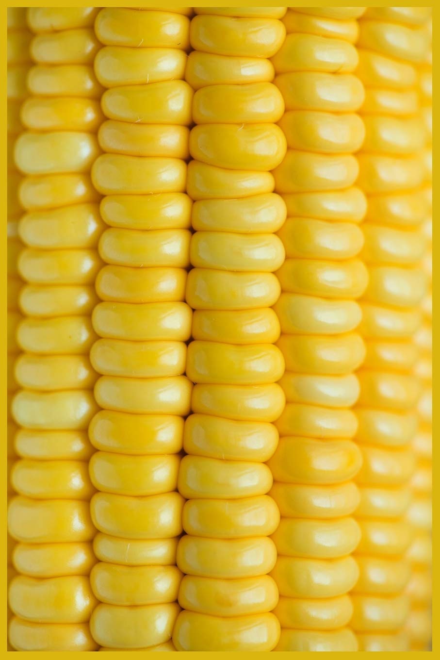 Corn On The Cob Notebook: Sweetcorn Journal, 6" x 9", 110 pages