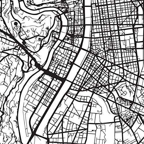 Mappa della mappa della città Lione stile nordico