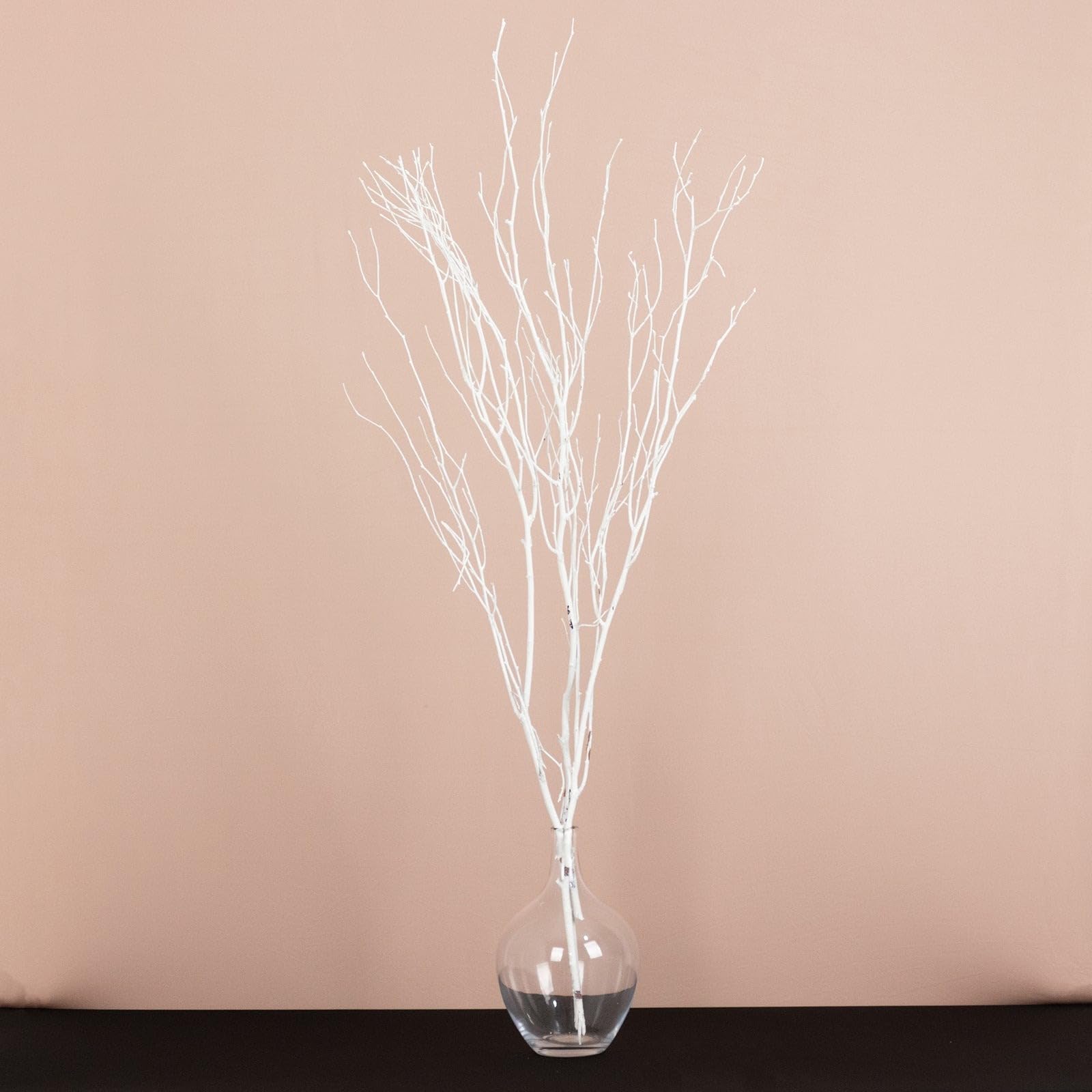 Balsa Circle 6 pcs White 46-inch Extra Long Decorative Birch Tree Branches Vase Fillers Rustic Dried Twigs Sticks Party Wedding Bouquets Centerpieces Supplies