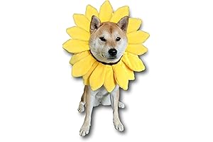 ComfyCamper Sunflower Dog Costume XXL