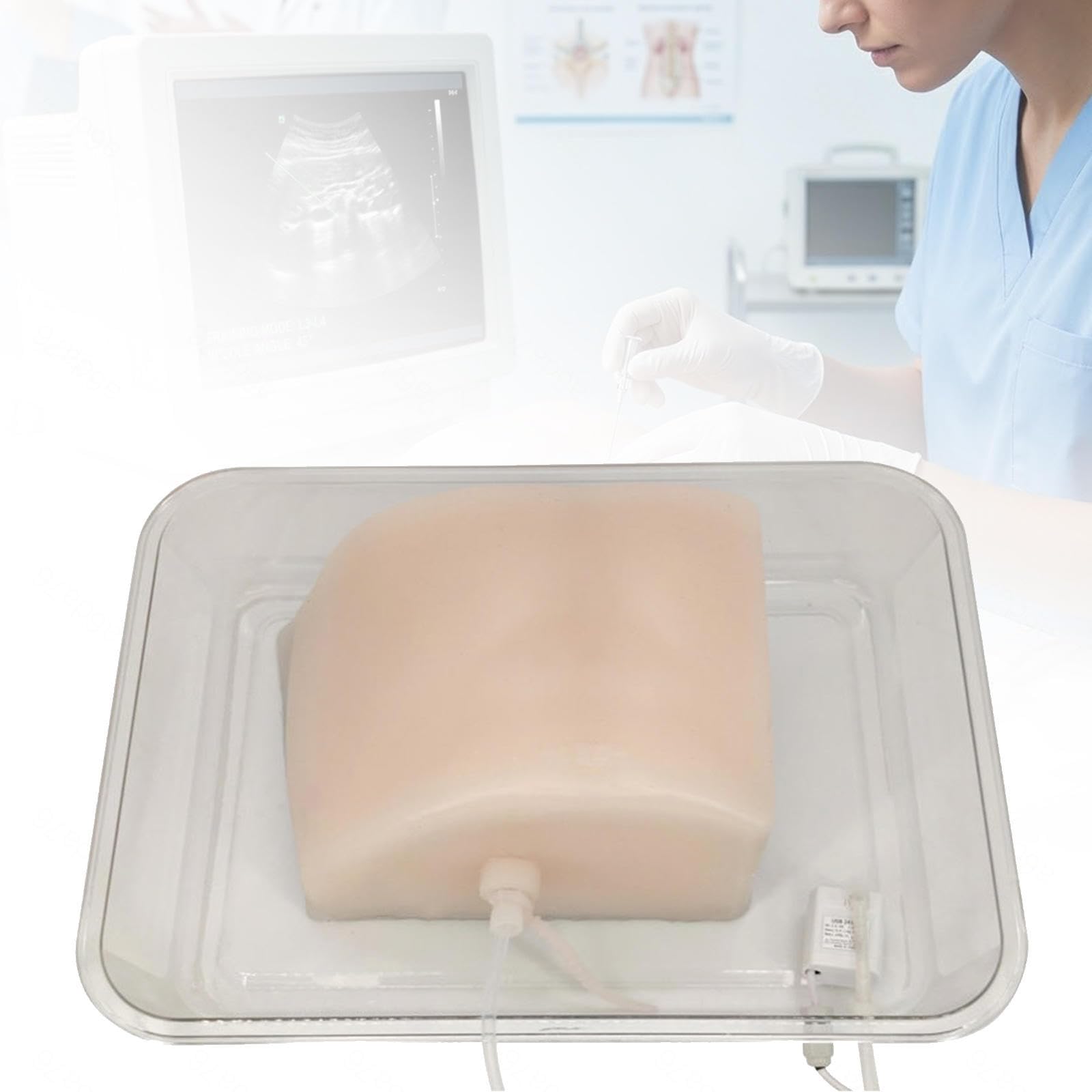Ecoguided Liver Puncture Simulator, PTCD Training Model with Biliary Canal and Vascular System, Fantoma Biopsy for Clinical Medical Education