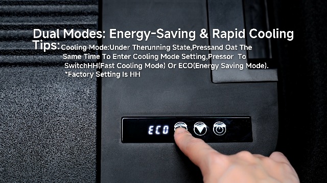 Amazon.com: BODEGACOOLER 35L Built-In Car Refrigerator for Tesla