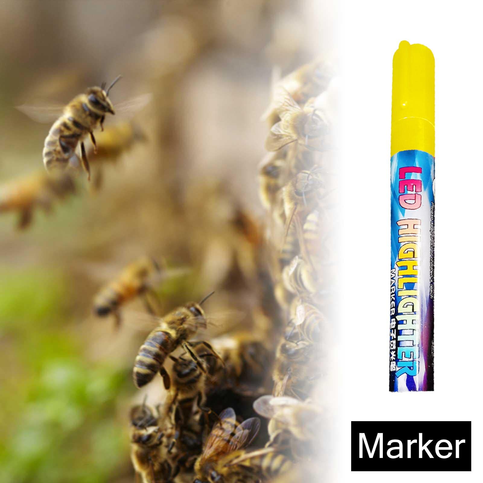 marqueur la reine des abeilles - Blanc, jaune, rouge, vert, bleu, outil d'apiculture, outils d'apiculture en plastique