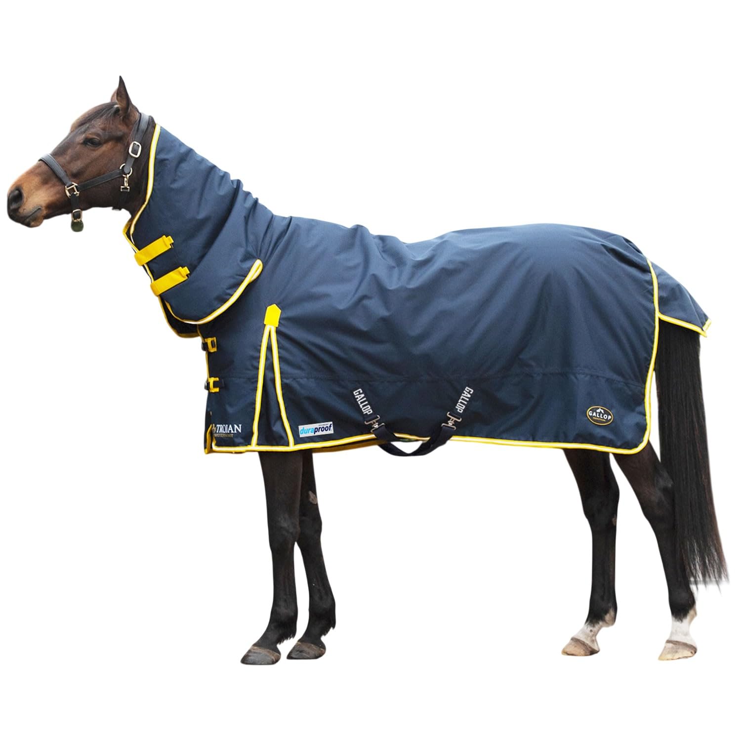Gallop Trojan Duraproof Combo Turnout 200G (7'0)
