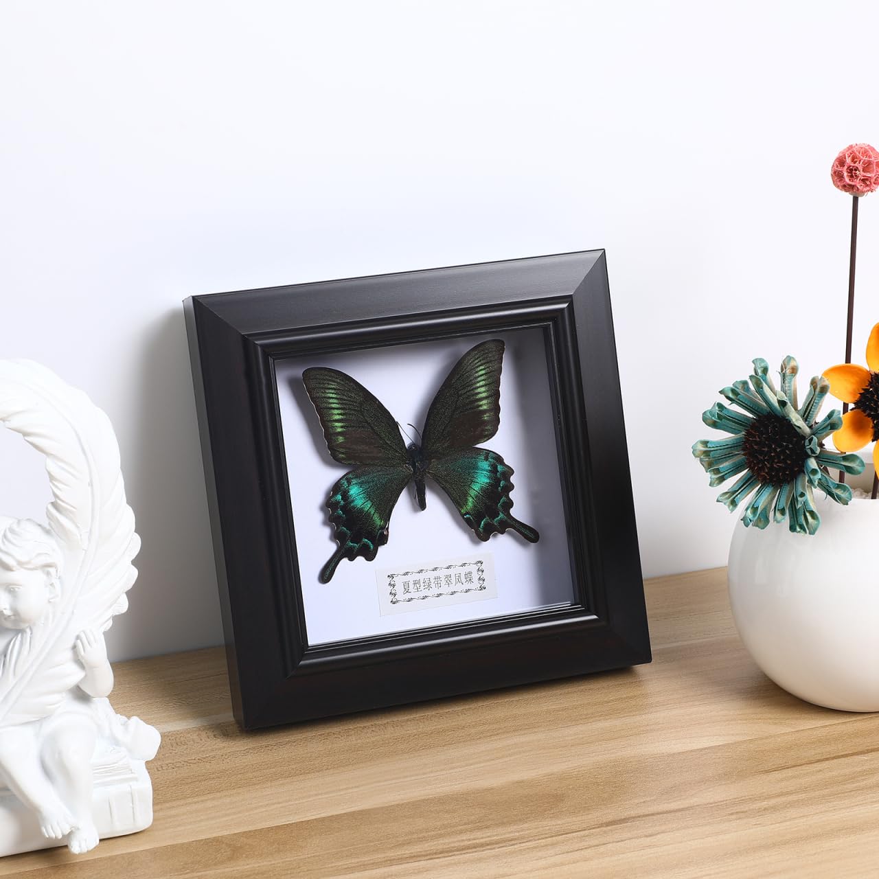 Cadre pour exemplaires de Morpho Bleu Exquis Encadré et monté en Noir pour présenter des curiosités comme décoration de Table à Suspendre
