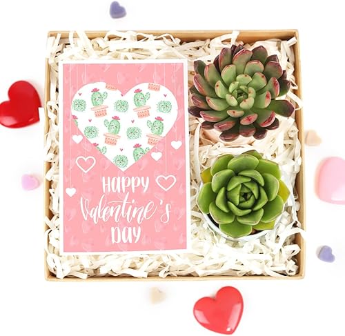 Miniatura 6 de Caja de regalo para el día de San Valentín para ella, para él, 2 suculentas (tarjeta de San Valentín), ideas de caja de regalo de San Valentín, caja