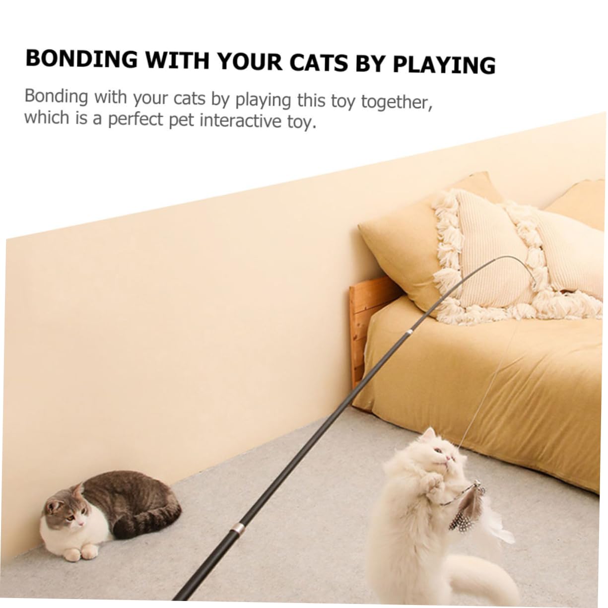 INOOMP 6pièces Téaser pour Chats Canne Interactif Télescopique avec Plumes Jouet Amusant pour Exercice Et des Chats