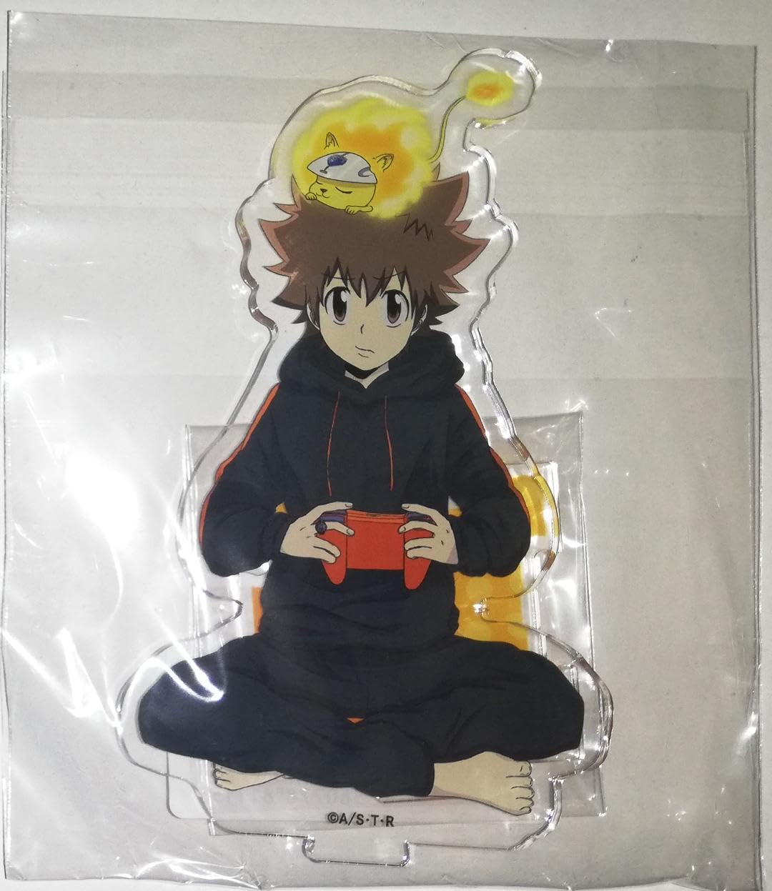 Amazon.co.jp: リボーン 沢田綱吉 ナッツ アクリルスタンド