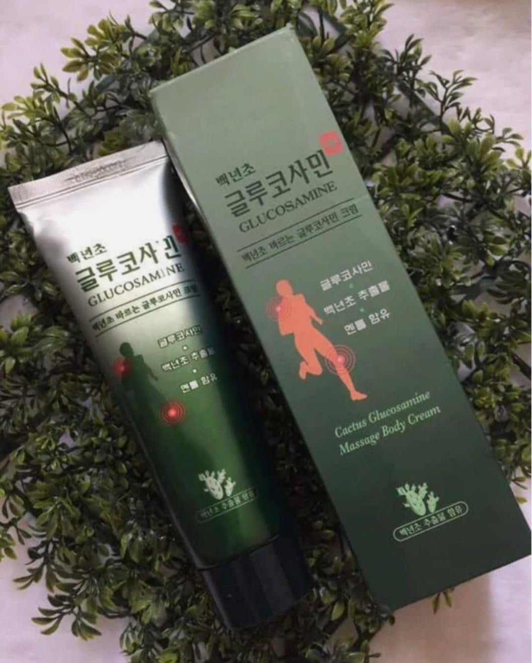 Cactus Glucosamine Massage Body Cream Muscle Relief, 150ml, Pack of 3