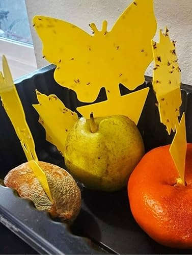 Miniatura 8 de Zevo - Recambio de trampa para insectos voladores, 2 unidades (paquete de 2), juego con (4) piezas de trampa exclusiva Fusion Shop Store moderna