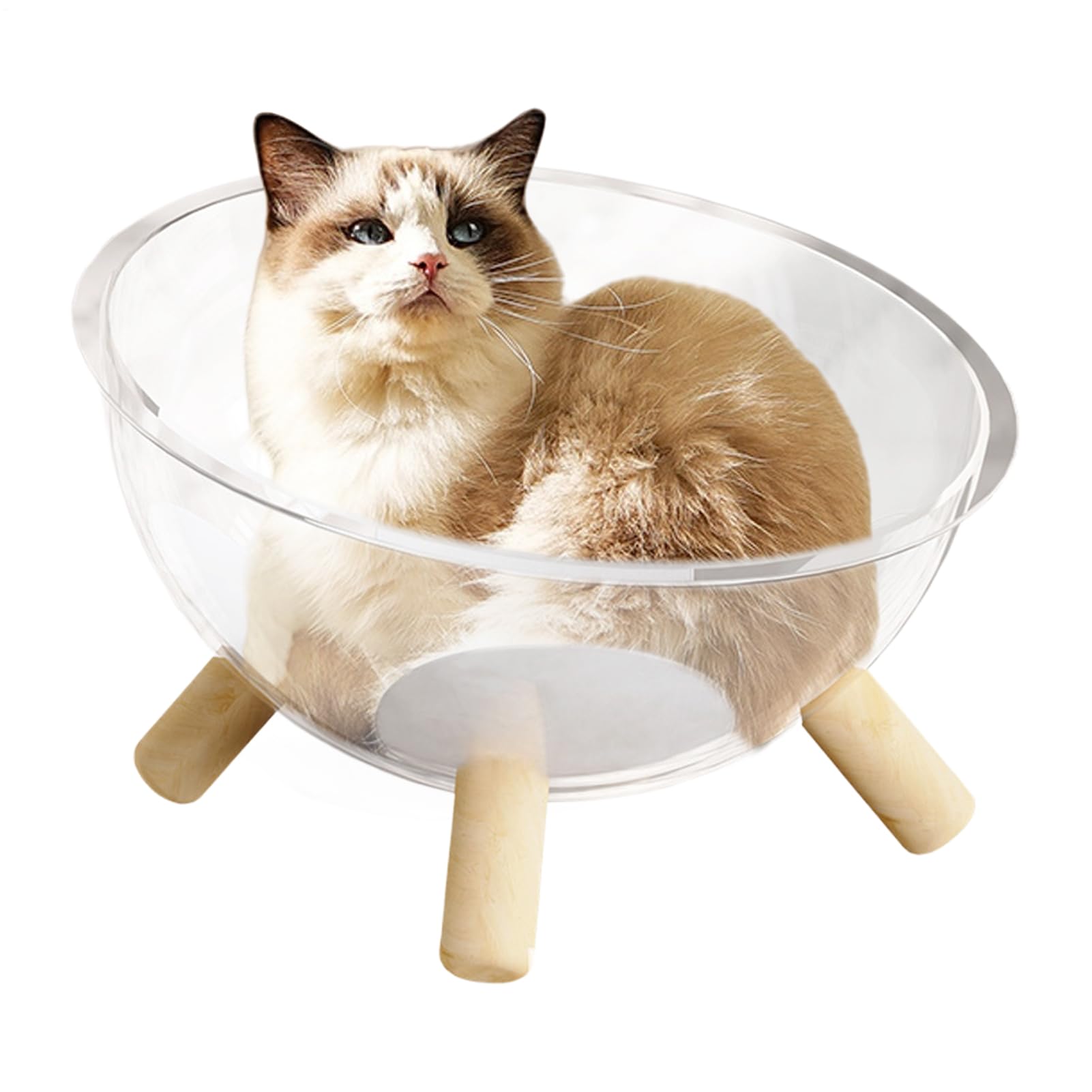 Maison pour dormir et jouer chats chiots dôme design