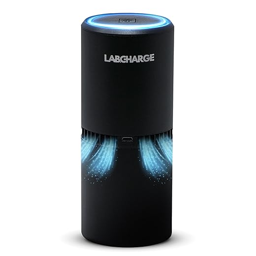 LabCharge Compact Air Purifier - Covers 250 Sq Ft - Ideal for Bedroom or Dorm Room - Silent HEPA Filter Captures Dust and Pollutants - Portable, Mini Air Purifier for Small Spaces
