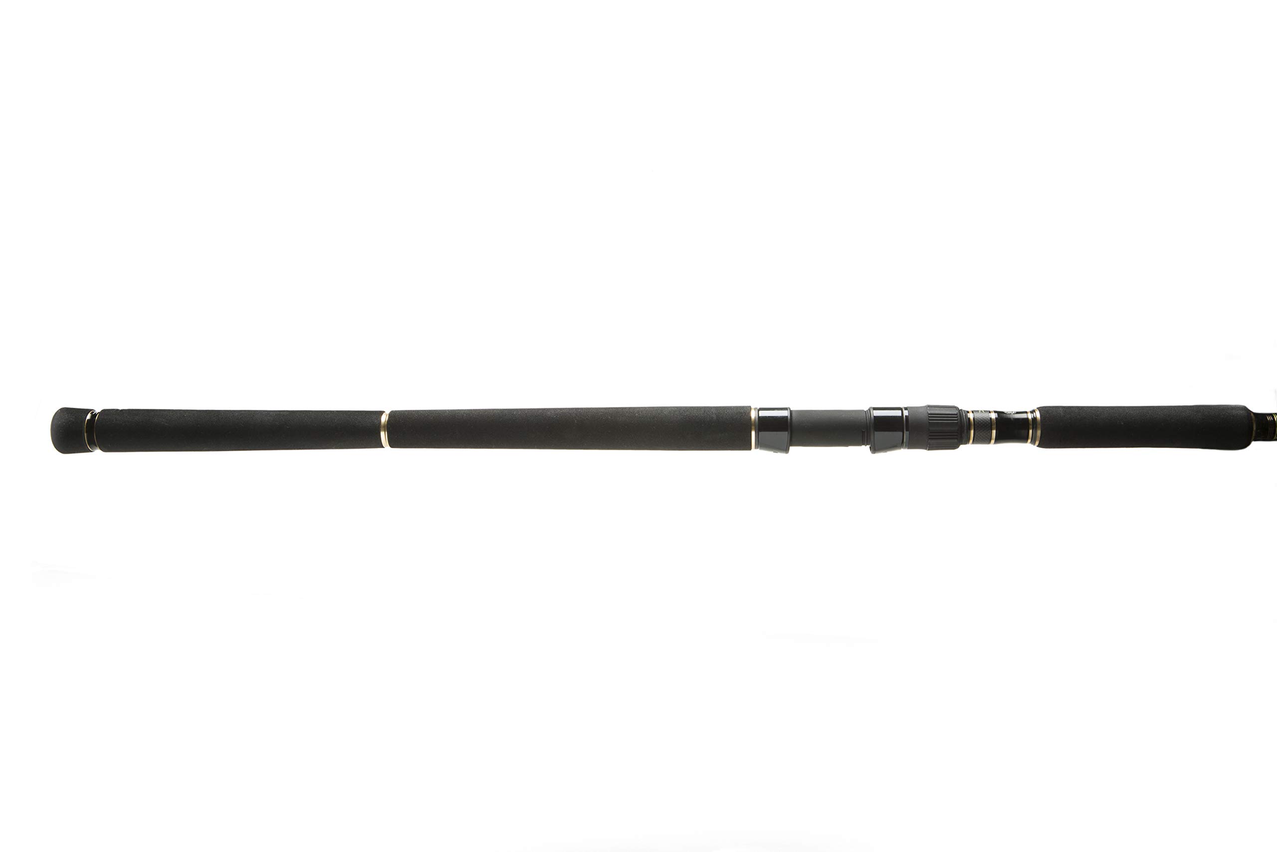 アブガルシア NORDFIELD AKIAJI 1002MH ショアジギロッド Amazon | AbuGarcia (アブガルシア) ノースフィールド アキアジ