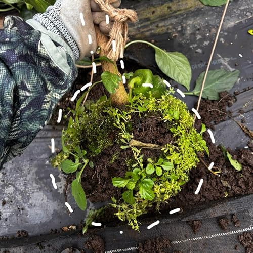 #9 やさいの片付け