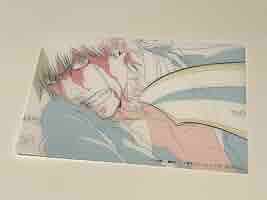 BLEACH ブリーチ 黒崎一護 クリアシート Amazon.co.jp: BLEACH アニメ展 入場特典 原画クリアシート 黒崎