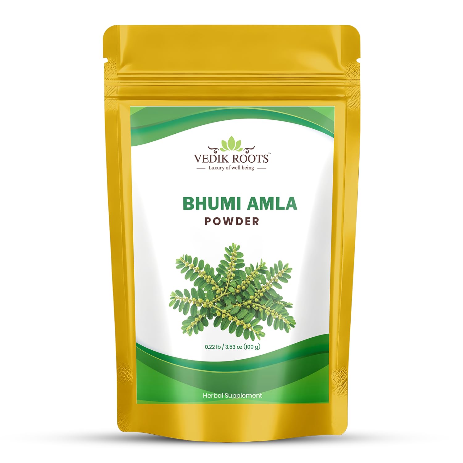 Organic Bhumi Amla Powder - Rich in Antioxidant Vitamin C - Supports Healthy Immune Function 100 Gm (Pack of 2) — Amazon image 11