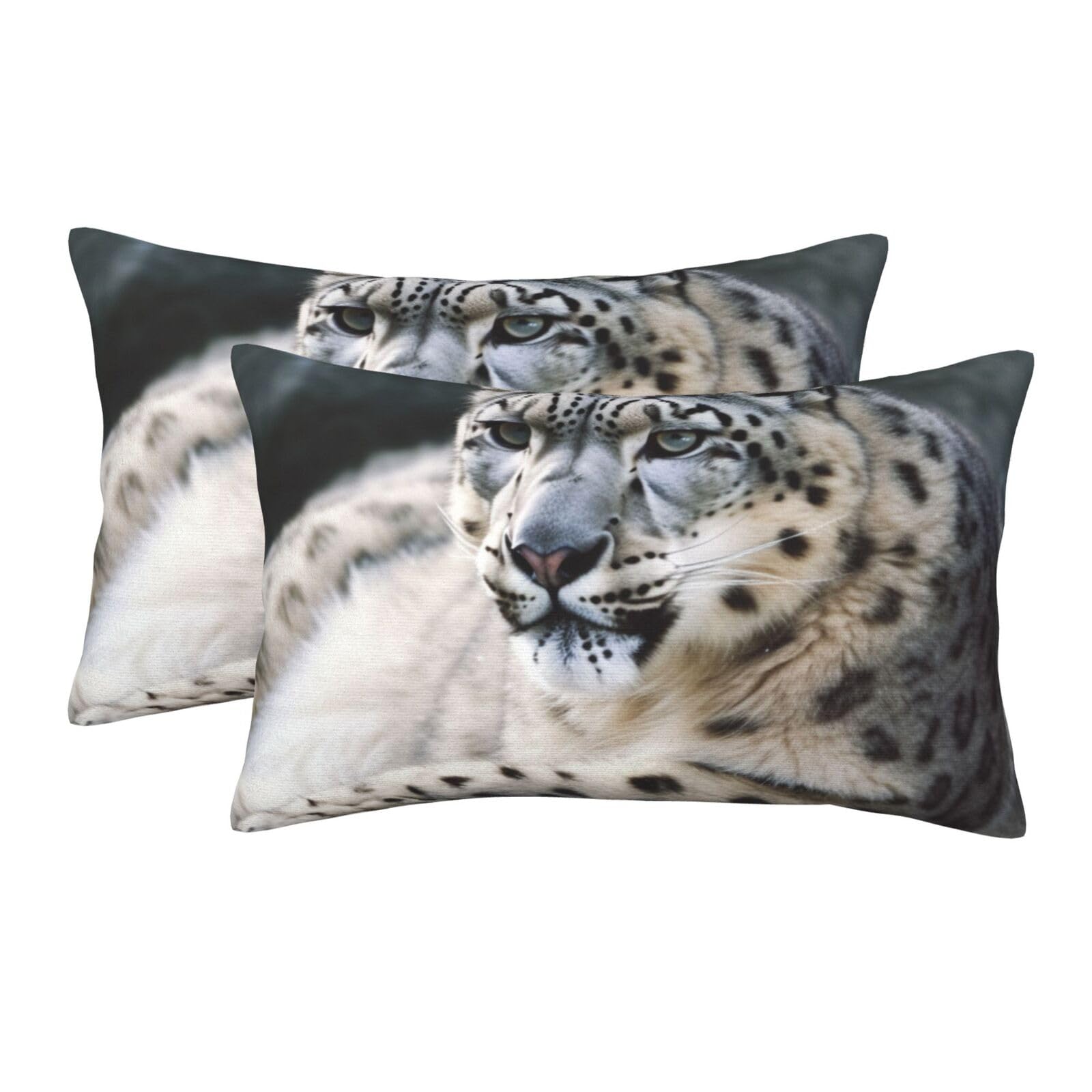 2 Pack Pillow Cases with Hidden Zipper, Soft Breathable Pillow Covers for Hair and Skin, Snow Leopard Pillowcases 20"x30" Bed Pillow Protectors Cover for Sleeping Gifts