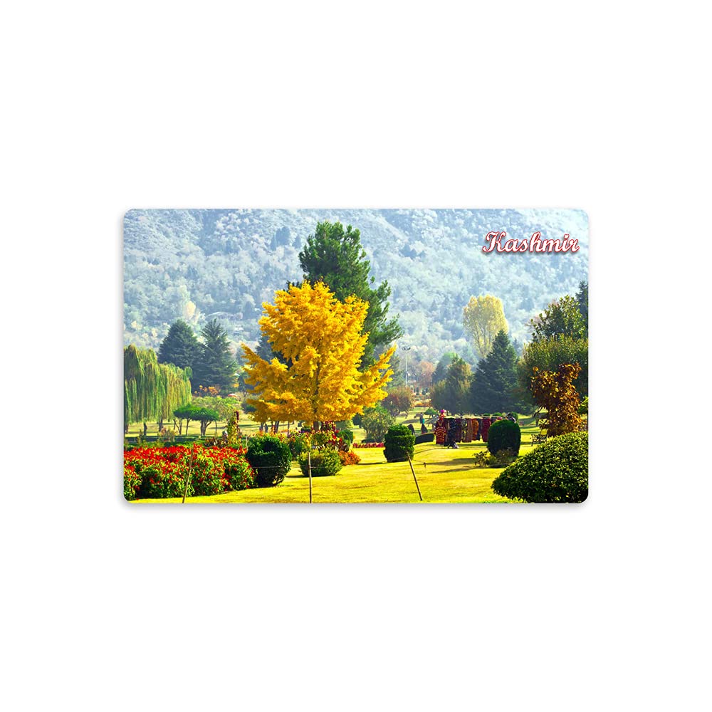 REGALOCASILA Souvenir Fridge Magnet Kashmir Scenery Home Decoration Kitchen Decor Accessories