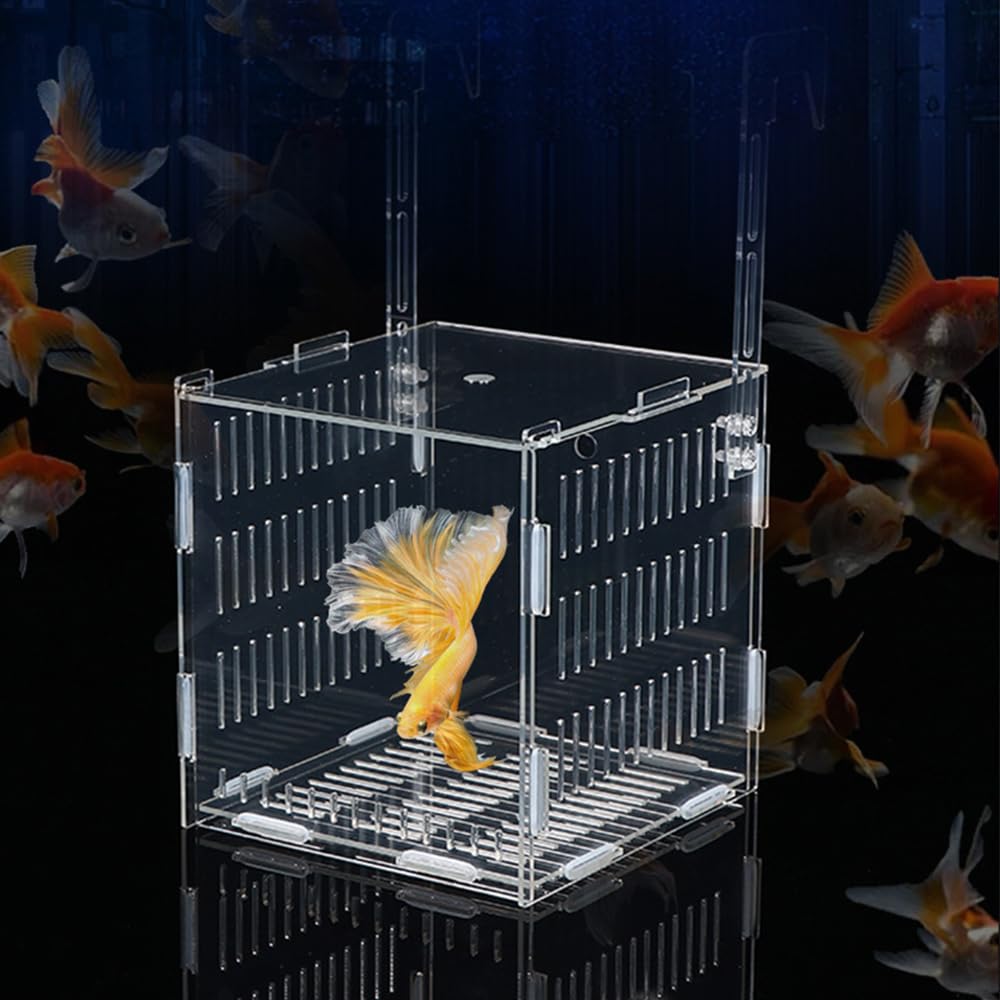 Amazon | Vitalux 魚 繁殖隔離ボックス 10*10*10 多機能 水槽 隔離