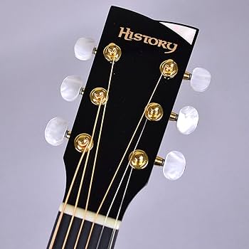 Amazon | HISTORY NT-301/Ca アコースティックギター ヒストリー