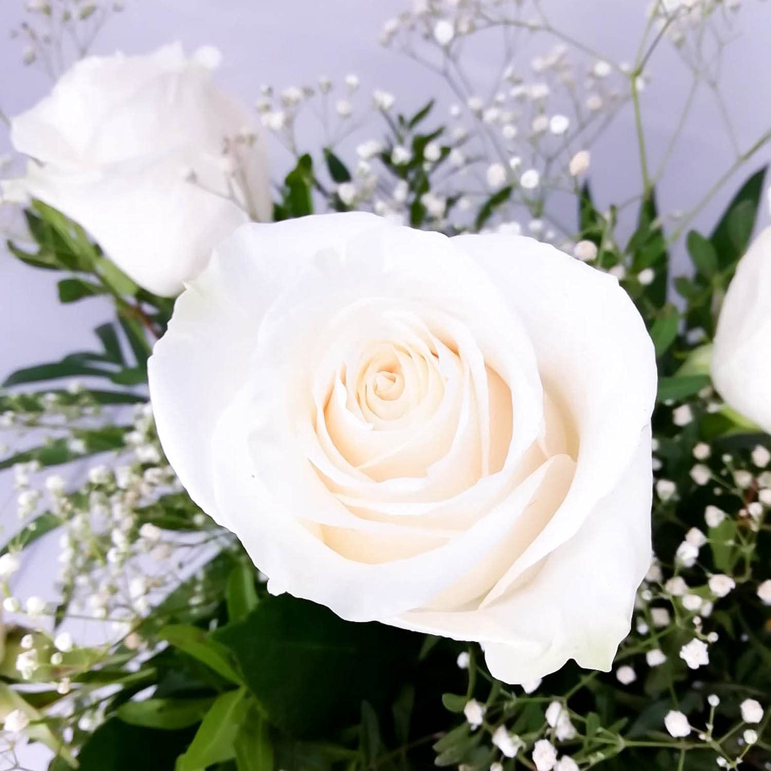 Finished, image size:1500x1500