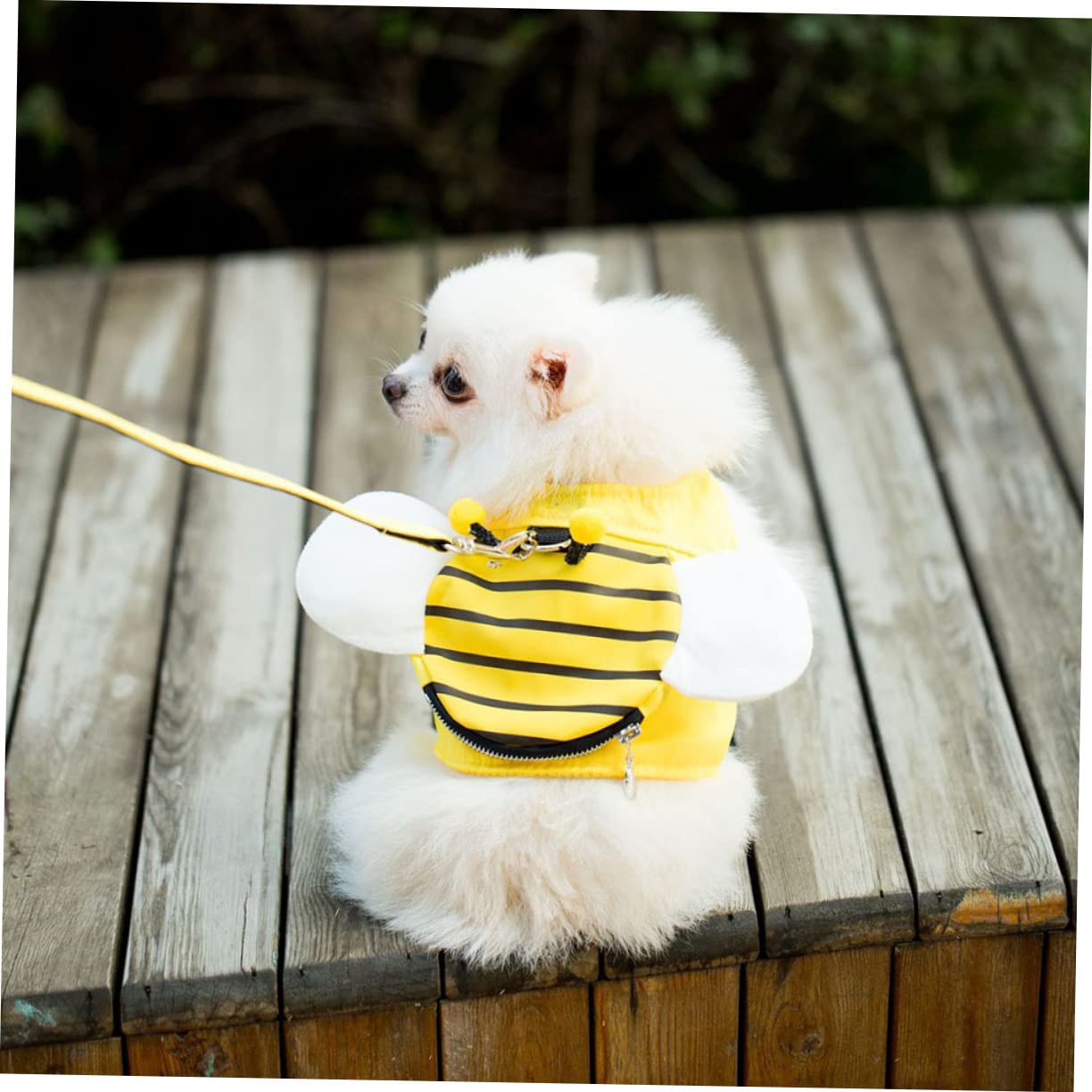 BESPORTBLE 3juegos Arnés y Correa para Perros Medianos Diseño De Abejas Arnés De Malla Transpirable y Correa Resistente para Paseos y Entrenamiento De Cachorros