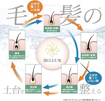 ベルール スキャルプシャンプー フルーラ ナチュラル トリートメント