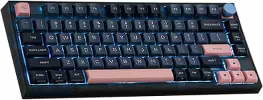 EPOMAKER GK75 Lite メカニカルキーボード ゲーミングキーボード