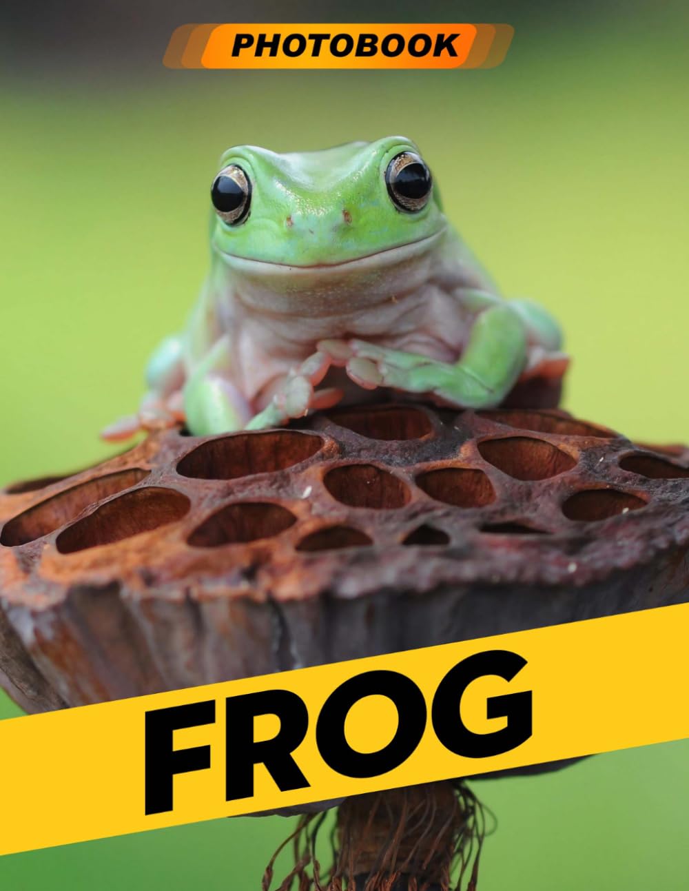 Frog Photo Book: Charming Rodent Photography Featuring Playful Capybaras In Natural Habitat Scenes For Animal Enthusiasts And Relaxing Home Decor