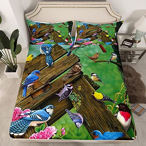 Hummingbird Fitted Bed Sheets Kids Cute Bird Fitted Sheet Full For Adult Women Girls Cardinal Bird Bedding Sets, Rustic Style Fitted Sheets Colorful Flowers Decorative, Not Include Flat/Top Sheet #TOP29