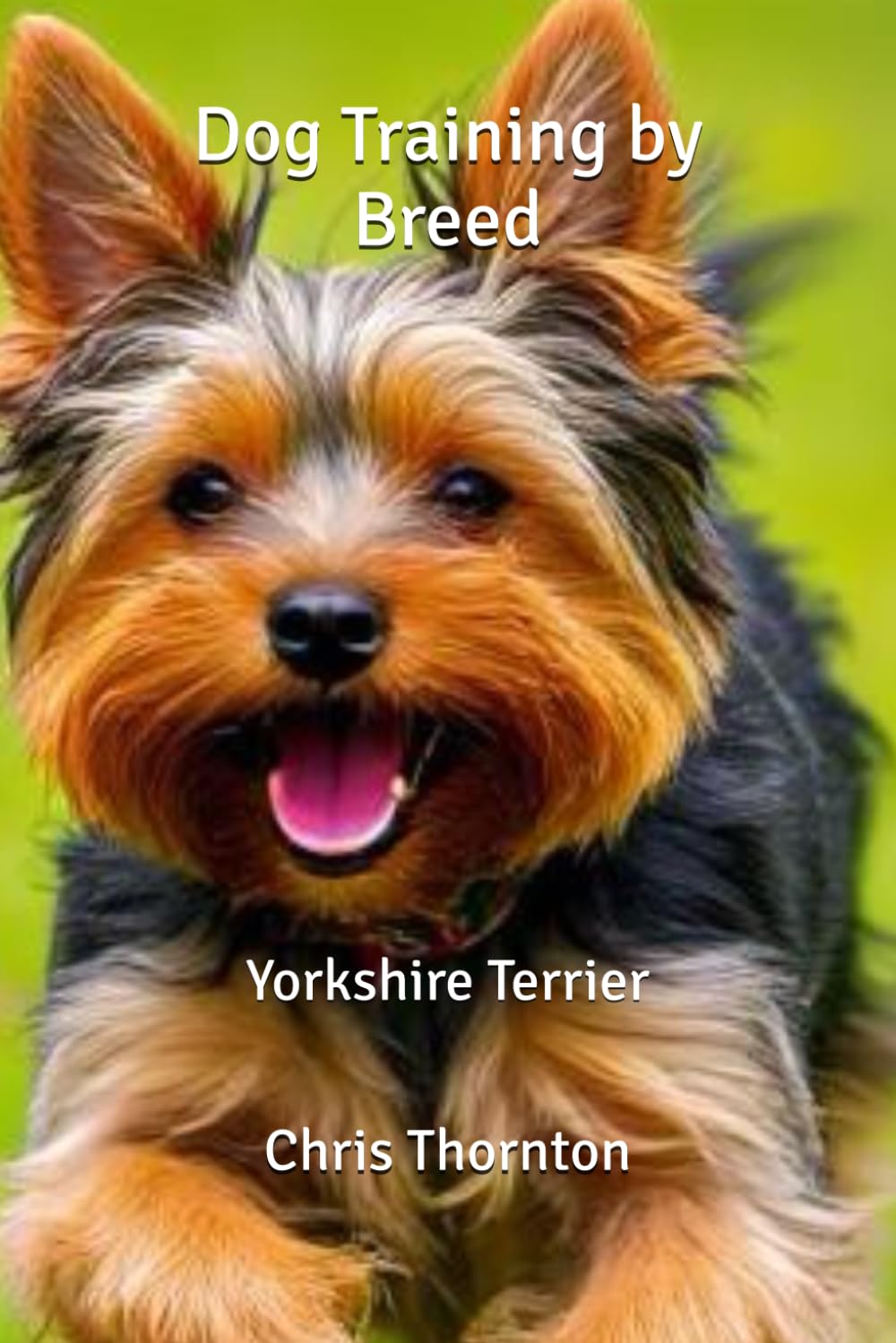 Dog Training by Breed: Yorkshire Terrier