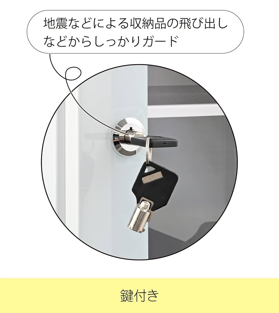 東洋リビング 防湿庫 オートクリーンドライ 24L ホワイト ED-25CAM Amazon | 東洋リビング 防湿庫 オートクリーンドライ 24L