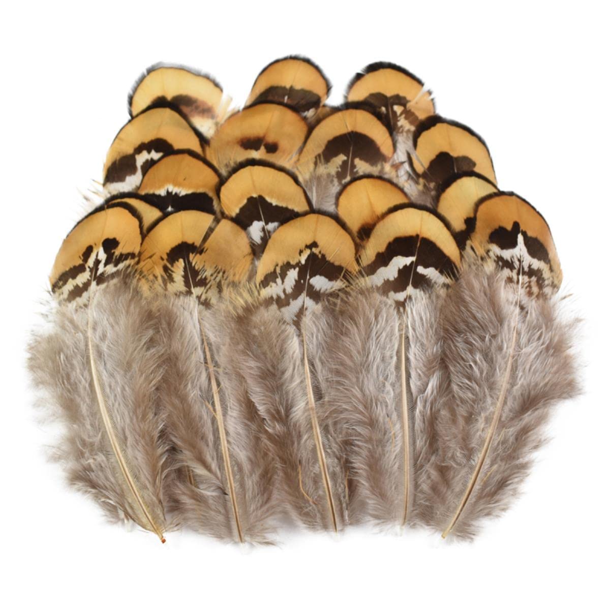 Natürliche Fasanenfedern, kleine Pfauen, Gänse, Huhn, Feder, Traumfänger, Dekoration, DIY, Schmuck, Handwerk, Dekoration, Größe 5–10 cm, 500 Stück