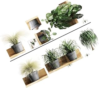 2 folhas presente plantas e graffiti quarto padrão decorativo quarto quarto adesivo folha paredes adesivos decalque como verde para decoração de plantas adesivo papel de parede arte decalques pote