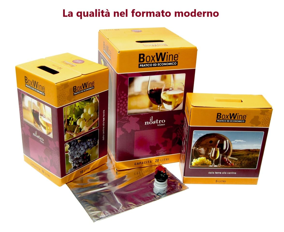 2 Bag In Box da 5 litri: 1 x Piemonte DOC Barbera e 1 x Piemonte Doc Chardonnay Gaggino, confezione conveniente e comoda (2 x 5 l)