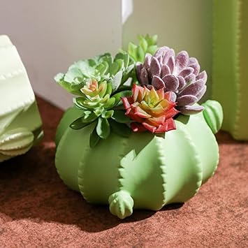 Amazon 完全 かわいい偽の植物 サボテンの花瓶 自家製の多肉植物 ホームショップのオフィスタブロップの装飾のための偽の鉢植えの植物 屋内 Color C 人工観葉植物 オンライン通販