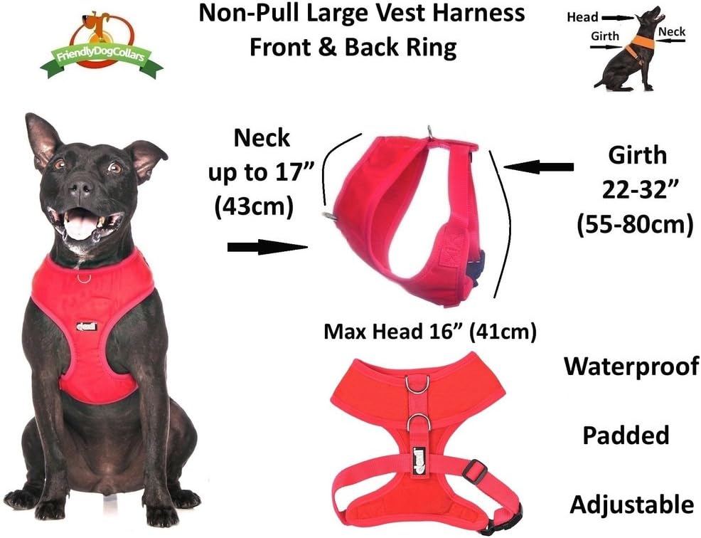 Dexil Elite Range Padded Waterproof Adjustable Back and Front Ring Non