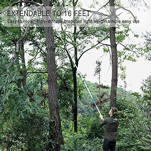 Manual Pole Saw，5-16 Ft Extendable Tree Pruner/Pole Saws For Tree Trimming With Detachable Handsaw (Pole Saw) #TOP1