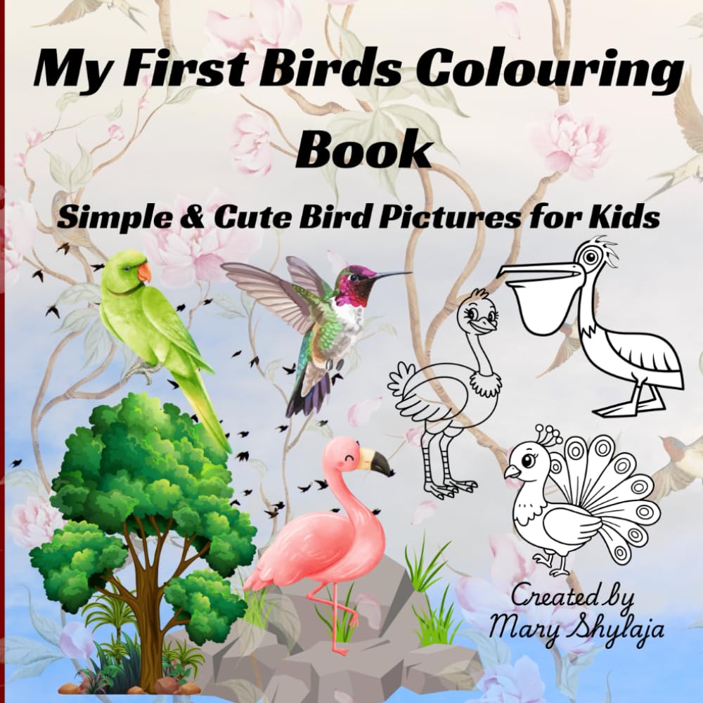 My First Birds Colouring Book: Simple & Cute Bird Pictures for Kids